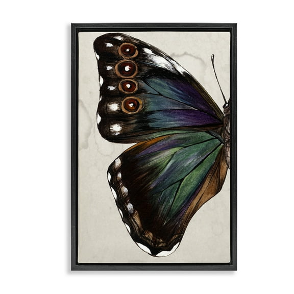 Stupell Industries Traditional Butterfly Wing Animals & Insects Painting Black Floater Framed Canvas Art Print Wall Art, 17 x 25