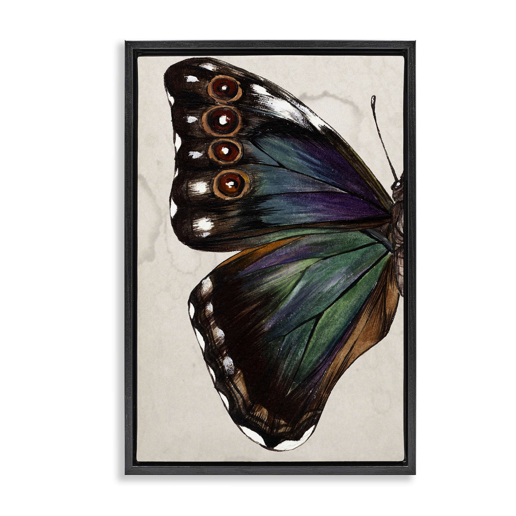 Stupell Industries Traditional Butterfly Wing Animals & Insects Painting Black Floater Framed Canvas Art Print Wall Art, 21 x 31