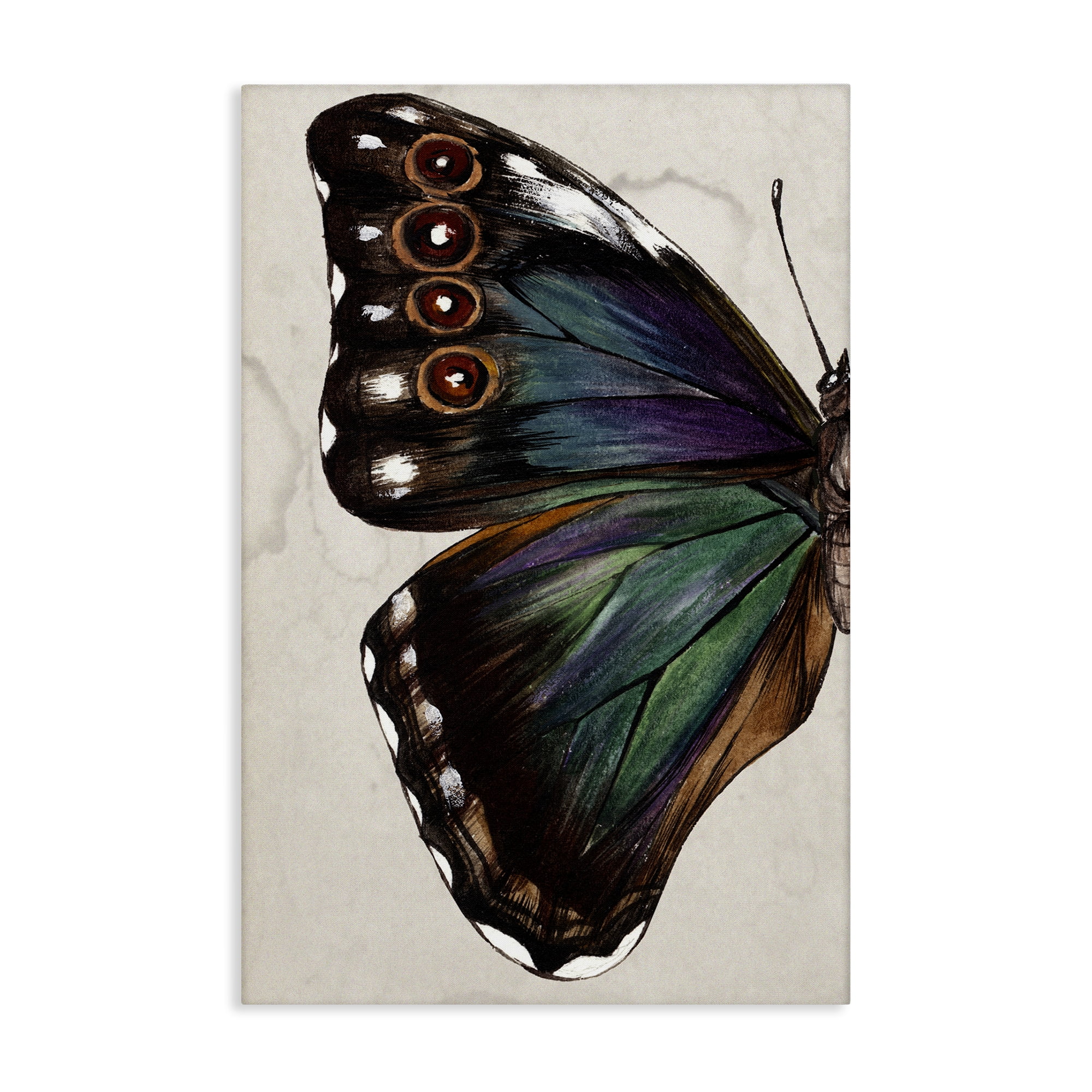 Stupell Industries Traditional Butterfly Wing Animals & Insects Painting Gallery Wrapped Canvas Art Print Wall Art, 30 x 45