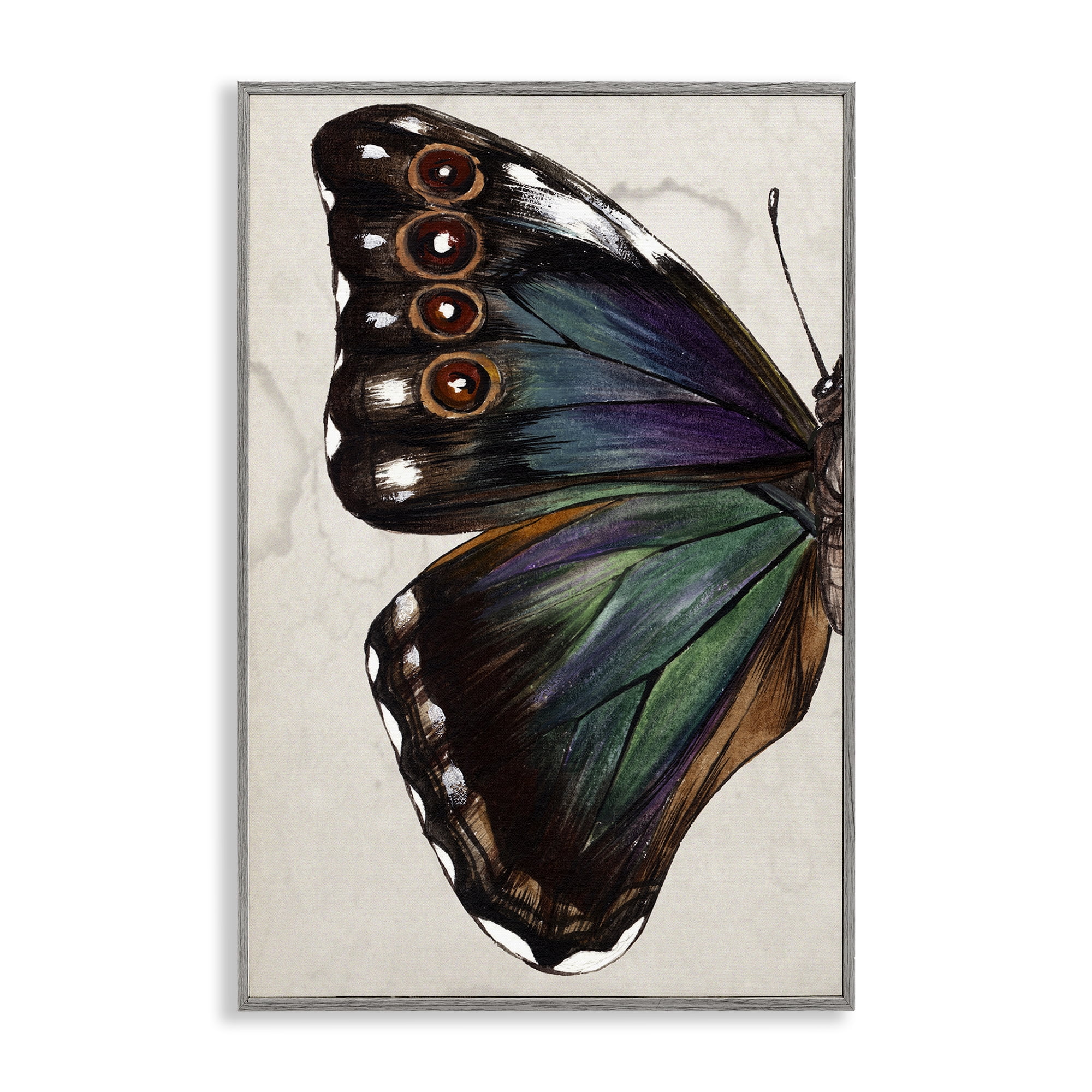 Stupell Industries Traditional Butterfly Wing Animals & Insects Painting Gray Framed Art Print Wall Art, 12 x 18