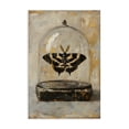 thumbnail image 1 of Stupell Industries Traditional Canvas Art, 20 x 30, by Petals Prints Design, 1 of 8