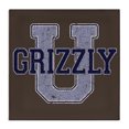 thumbnail image 1 of Stupell Industries Traditional Canvas Art, 30 x 30, by Spirit Animals/Life Is High, 1 of 8