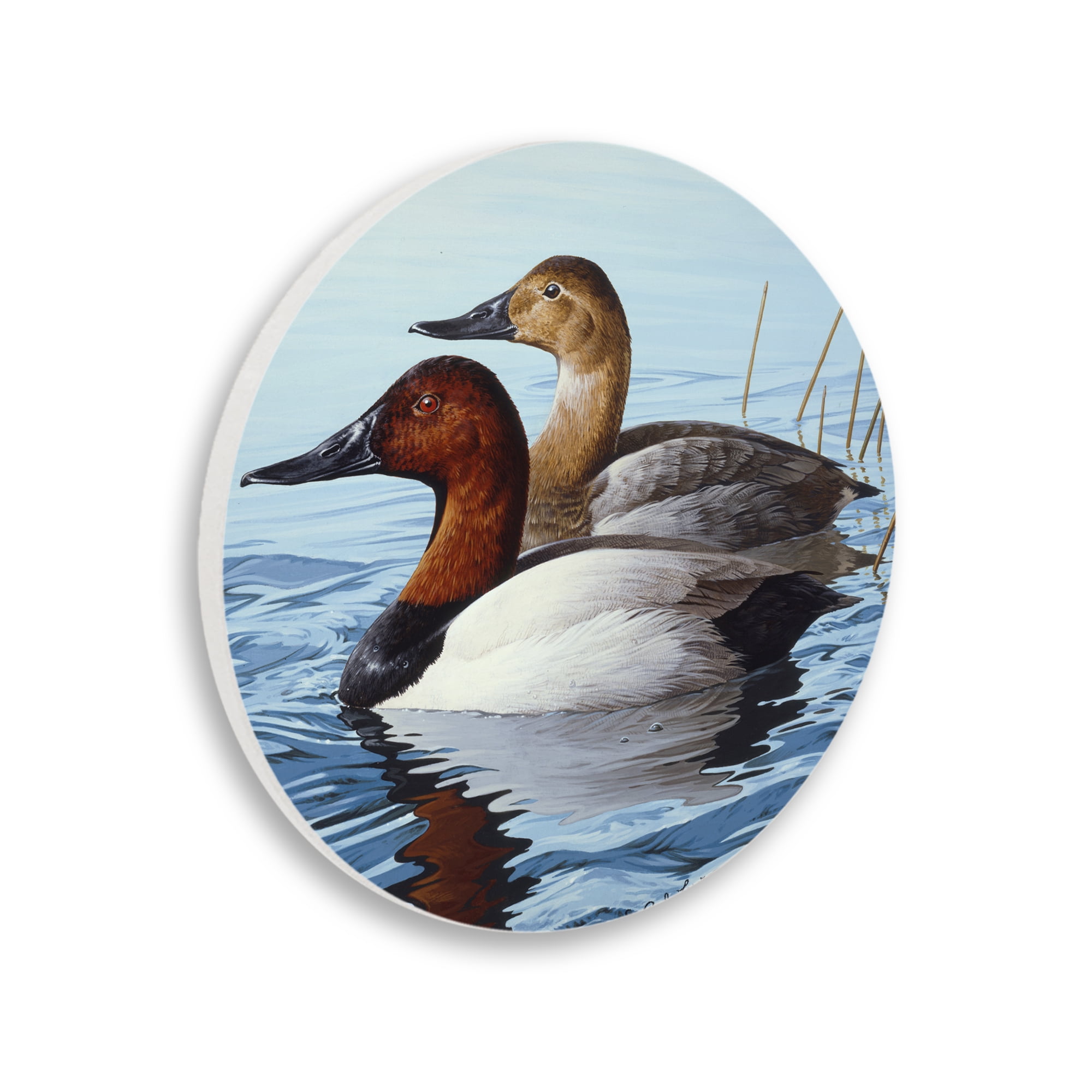 Stupell Industries Traditional Canvasback Ducks Animals Painting Unframed Art Print Wall Art, 12 x 12