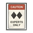 thumbnail image 1 of Stupell Industries Traditional Caution Sign Double Black Diamond Ski Symbol, 16 x 20, Design by JJ Design House LLC, 1 of 5