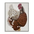 thumbnail image 1 of Stupell Industries Traditional Chicken Portrait Animals & Insects Painting Gray Framed Art Print Wall Art, 11 x 14, 1 of 10