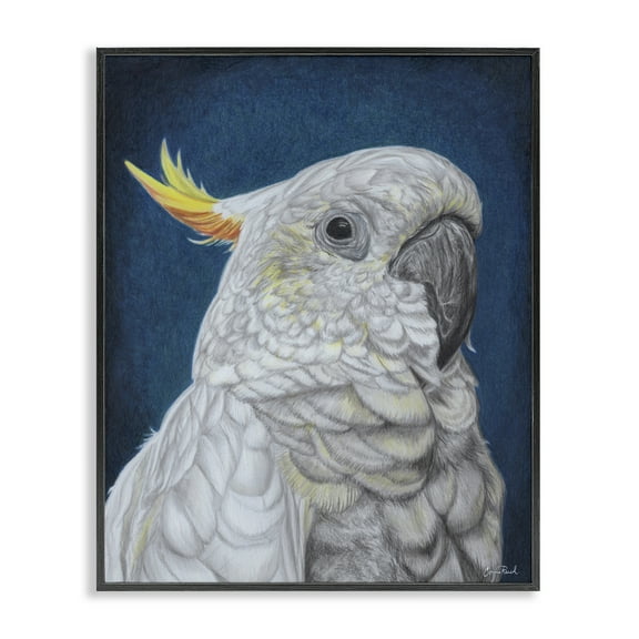 Stupell Industries Traditional Cockatoo Visage Animals & Insects Painting Black Framed Art Print Wall Art, 11 x 14