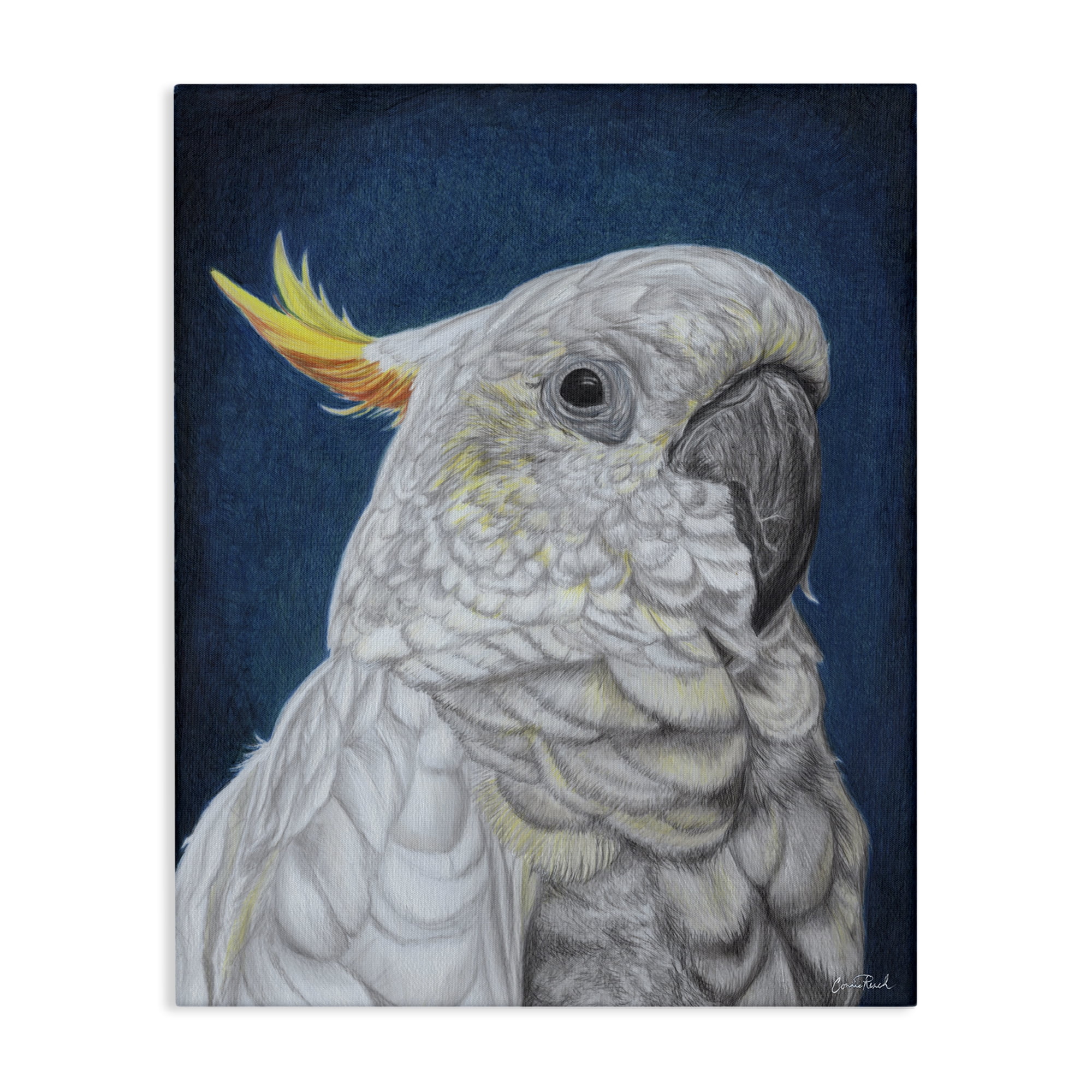 Stupell Industries Traditional Cockatoo Visage Animals & Insects Painting Gallery Wrapped Canvas Art Print Wall Art, 36 x 48