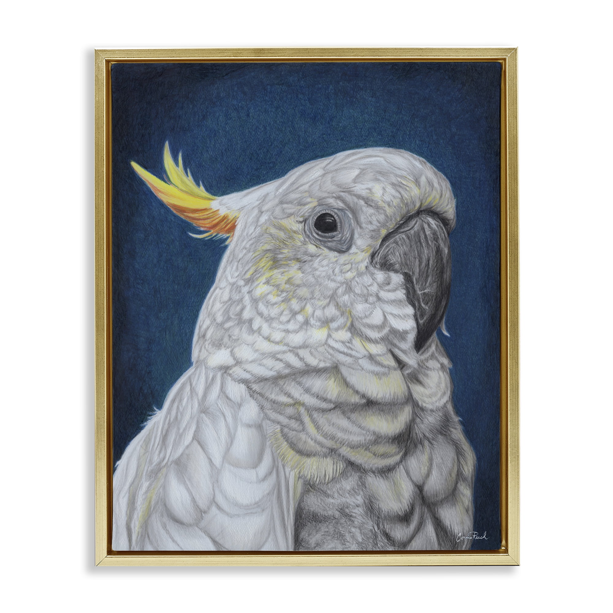Stupell Industries Traditional Cockatoo Visage Animals & Insects Painting Gold Floater Framed Canvas Art Print Wall Art, 25 x 31