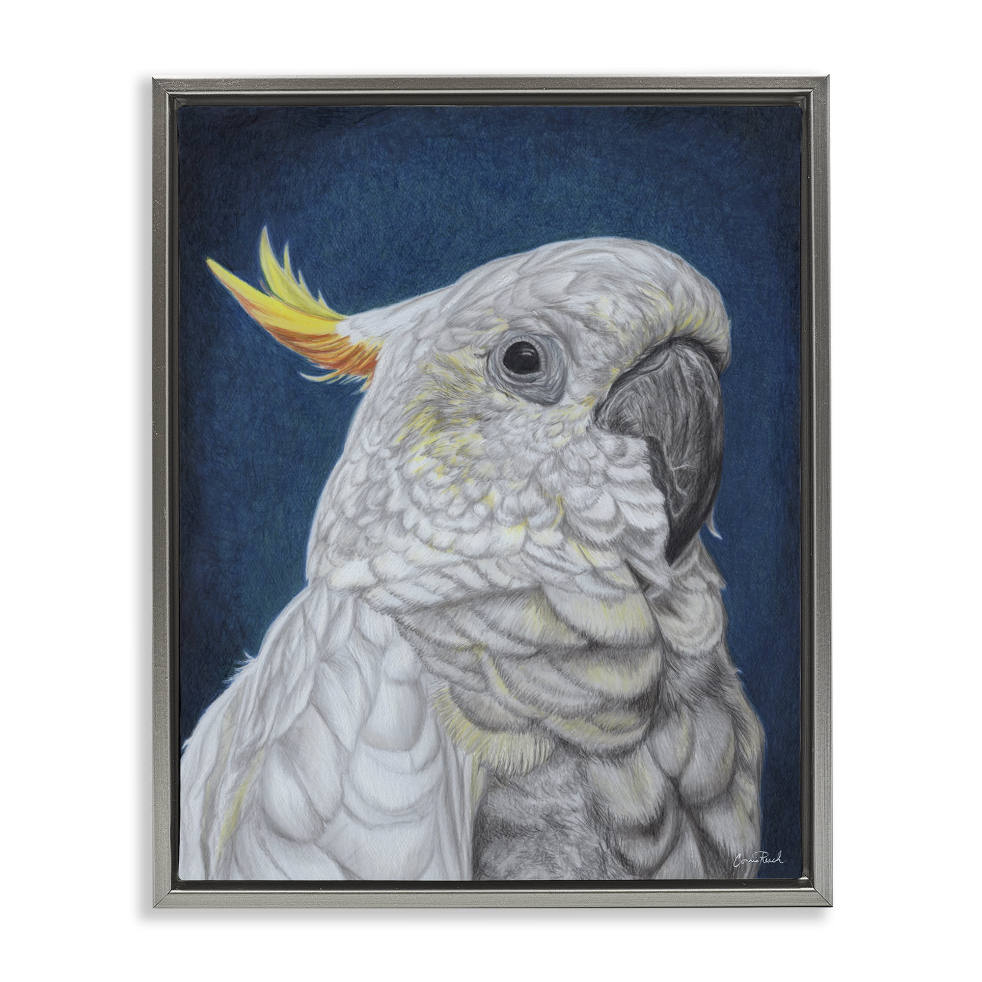 Stupell Industries Traditional Cockatoo Visage Animals & Insects Painting Gray Floater Framed Canvas Art Print Wall Art, 17 x 21