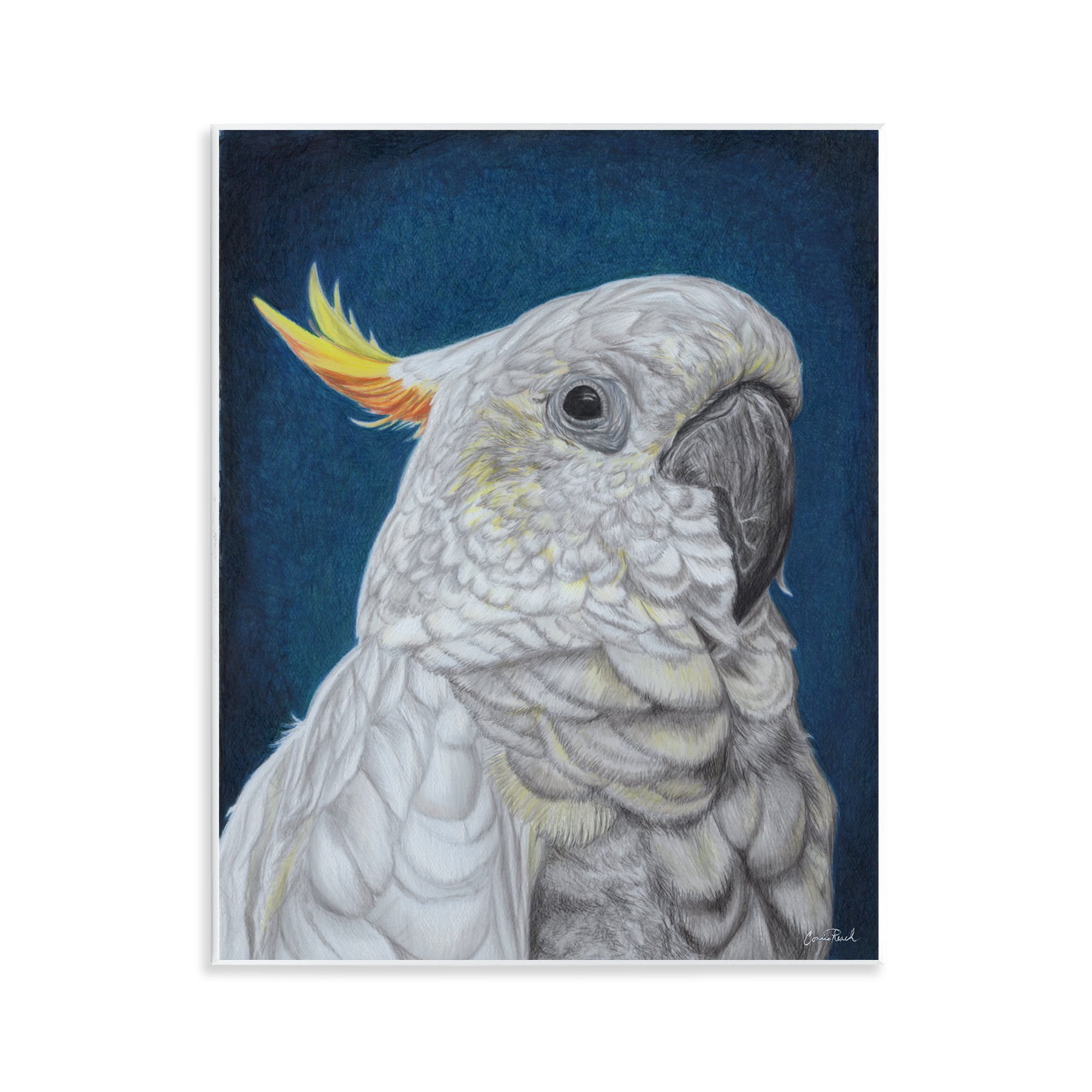 Stupell Industries Traditional Cockatoo Visage Animals & Insects Painting Unframed Art Print Wall Art, 11 x 14