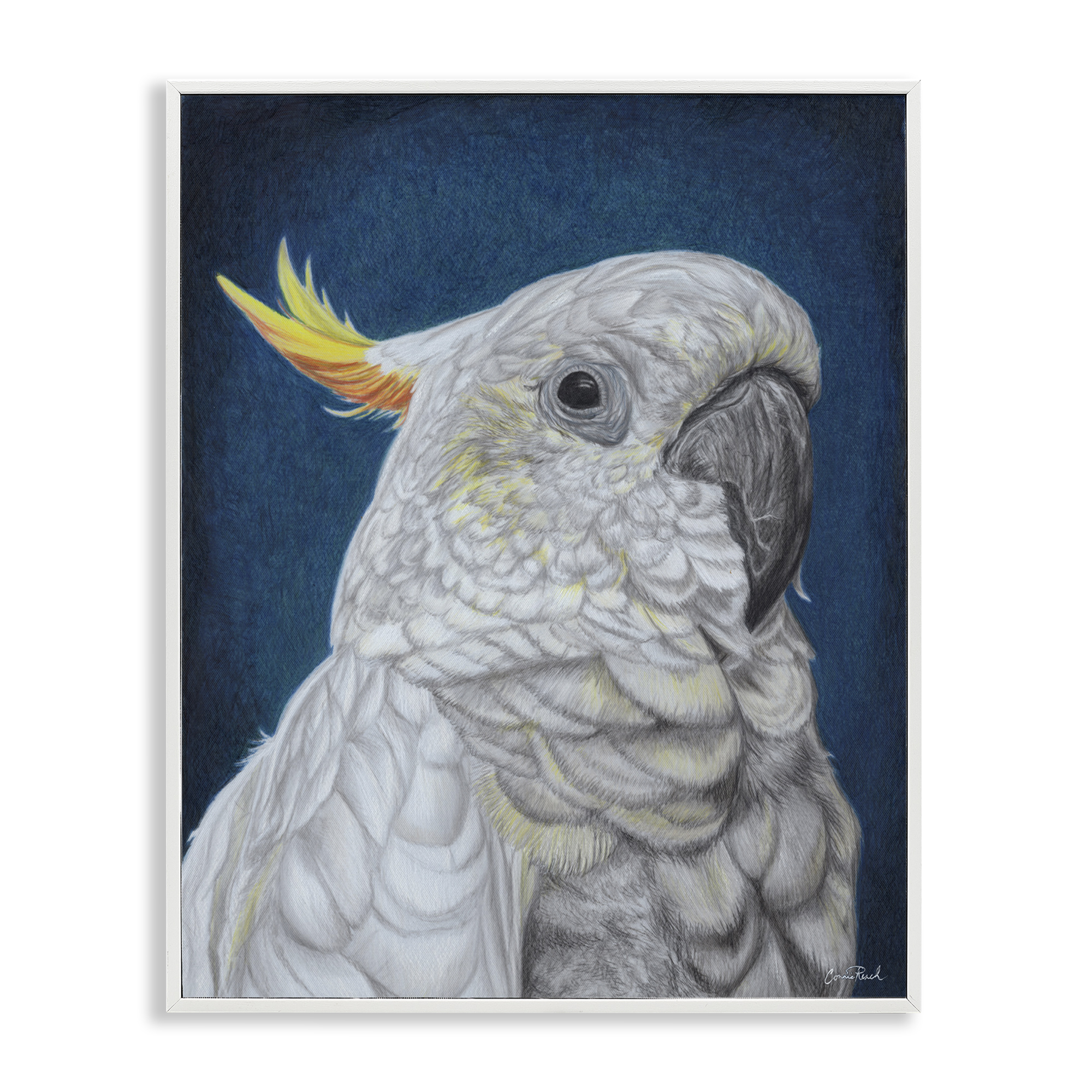 Stupell Industries Traditional Cockatoo Visage Animals & Insects Painting White Framed Art Print Wall Art, 16 x 20