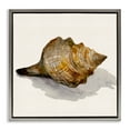 thumbnail image 1 of Stupell Industries Traditional Conch Shell on Beige Gray Floating Frame Canvas Art, 18 x 18, by Jacob Q, 1 of 7