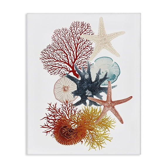 Stupell Industries Traditional Coral & Undersea Creatures Canvas Art, 16 x 20, by Ramona Murdock