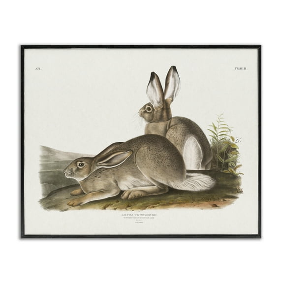 Stupell Industries Traditional Cottage Hare Animals & Insects Painting Black Framed Art Print Wall Art, 20 x 16