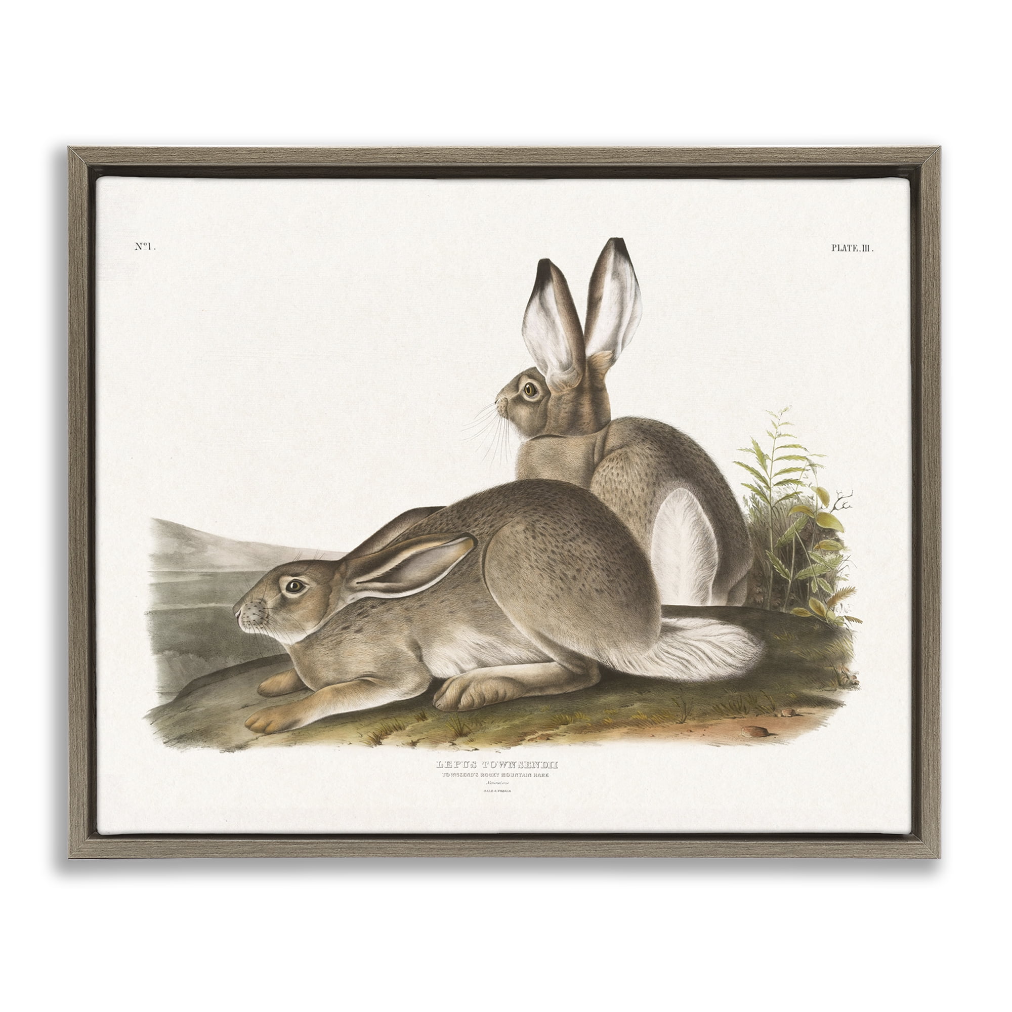 Stupell Industries Traditional Cottage Hare Animals & Insects Painting Brown Floater Framed Canvas Art Print Wall Art, 21 x 17