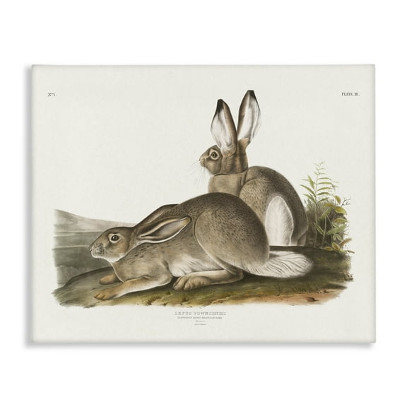 Stupell Industries Traditional Cottage Hare Animals & Insects Painting Gallery Wrapped Canvas Art Print Wall Art, 20 x 16