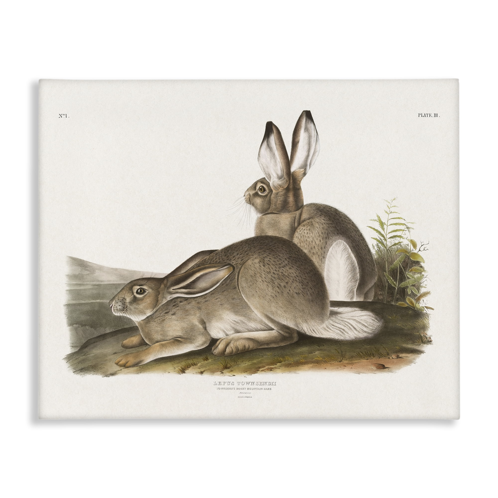 Stupell Industries Traditional Cottage Hare Animals & Insects Painting Gallery Wrapped Canvas Art Print Wall Art, 48 x 36