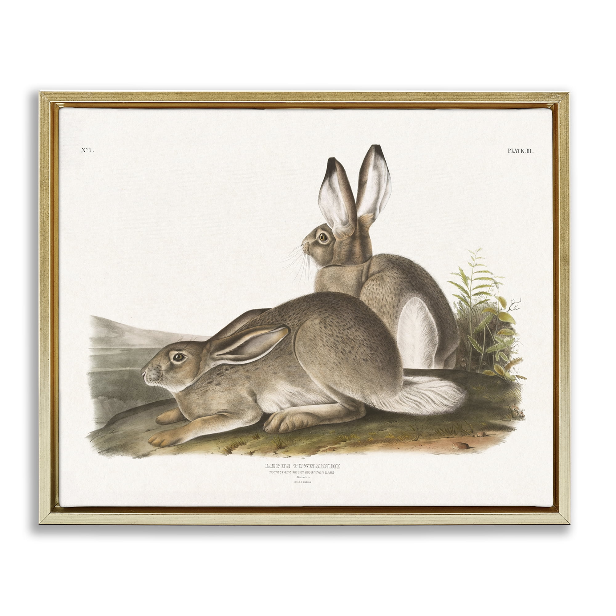 Stupell Industries Traditional Cottage Hare Animals & Insects Painting Gold Floater Framed Canvas Art Print Wall Art, 31 x 25