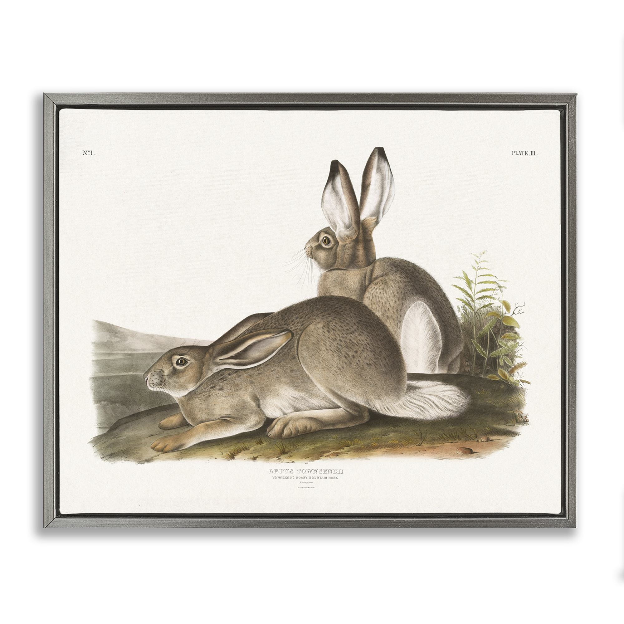 Stupell Industries Traditional Cottage Hare Animals & Insects Painting Gray Floater Framed Canvas Art Print Wall Art, 31 x 25