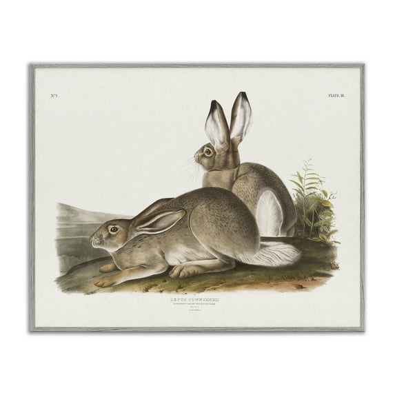 Stupell Industries Traditional Cottage Hare Animals & Insects Painting Gray Framed Art Print Wall Art, 30 x 24