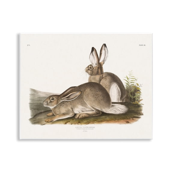 Stupell Industries Traditional Cottage Hare Animals & Insects Painting Unframed Art Print Wall Art, 14 x 11