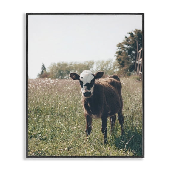 Stupell Industries Traditional Cow Calf Rural Farm Meadow Black Framed Giclee Art, 11 x 14, by Krista Broadway