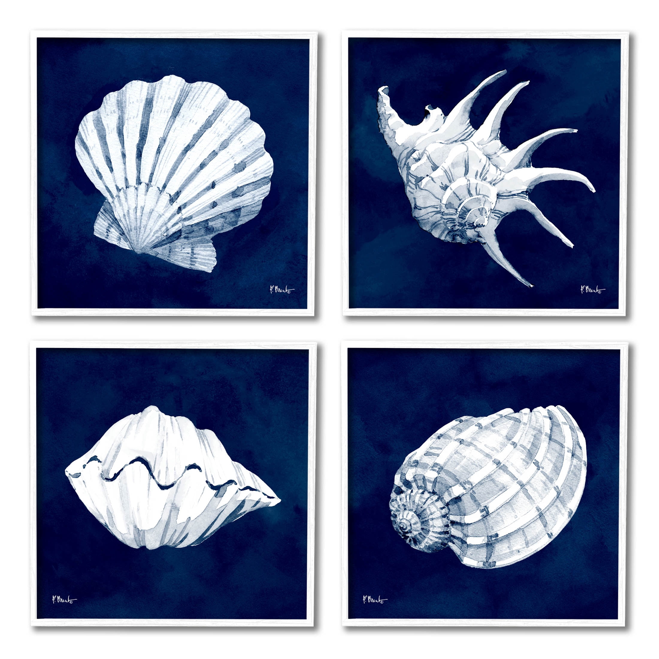 Stupell Industries Traditional Cyanotype Shells Graphic Art White Framed Art Print Wall Art, Set of 4, Design by Paul Brent