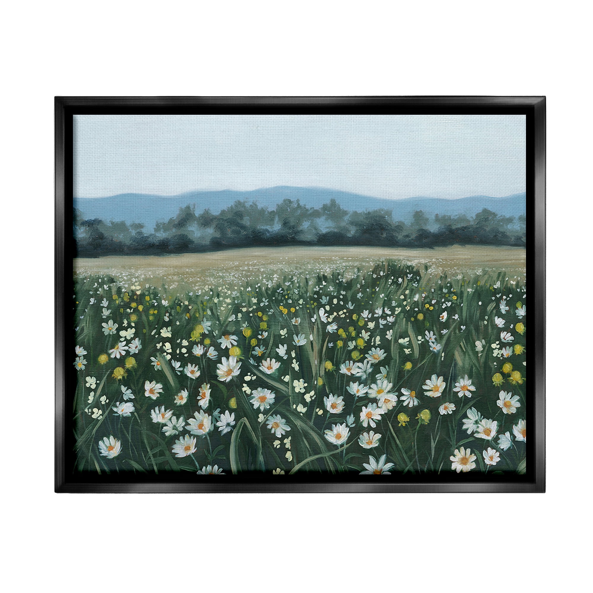 Stupell Industries Traditional Daisy Meadow Landscape Painting Black Floater Framed Canvas Art Print Wall Art, 31 x 25