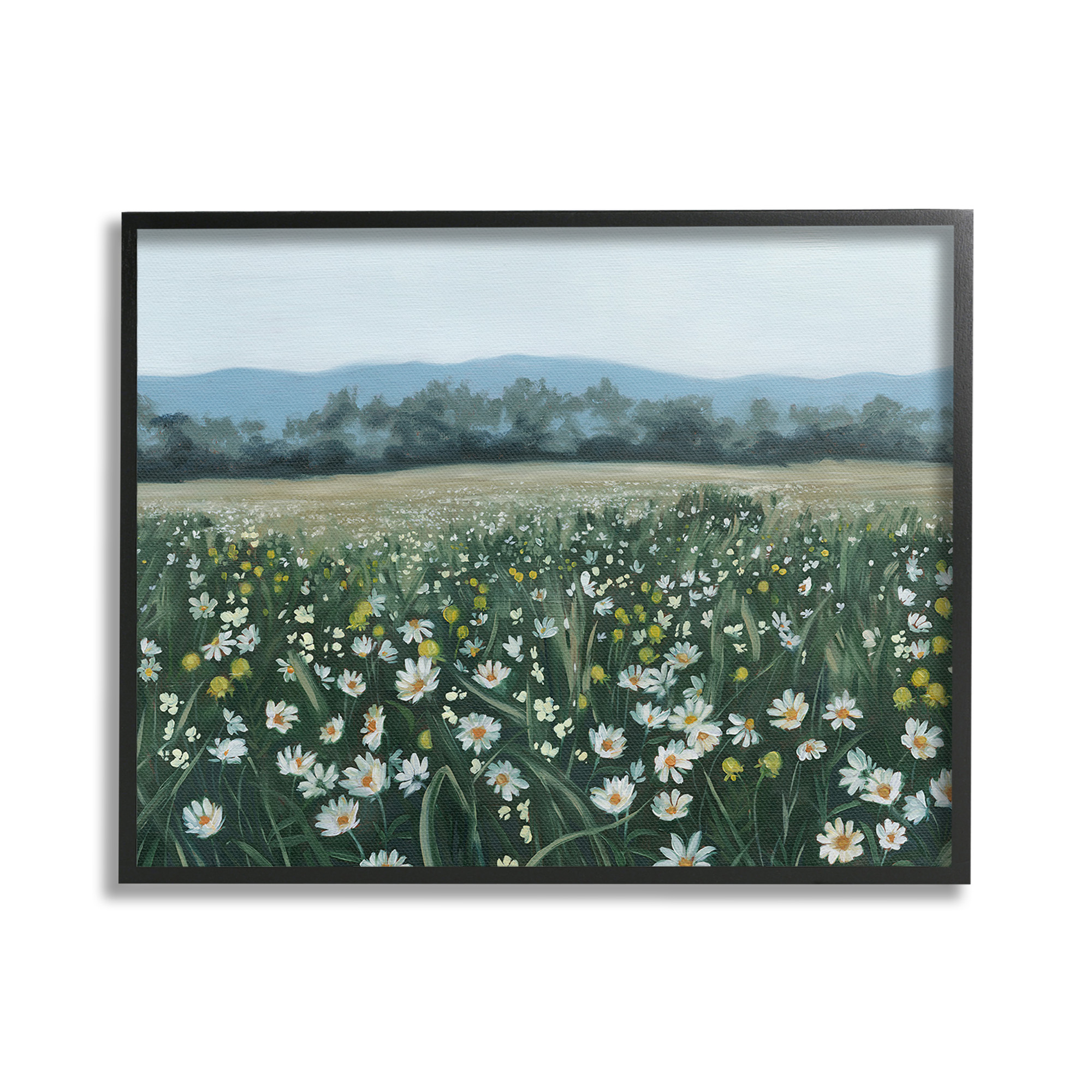 Stupell Industries Traditional Daisy Meadow Landscape Painting Black Framed Art Print Wall Art, 30 x 24