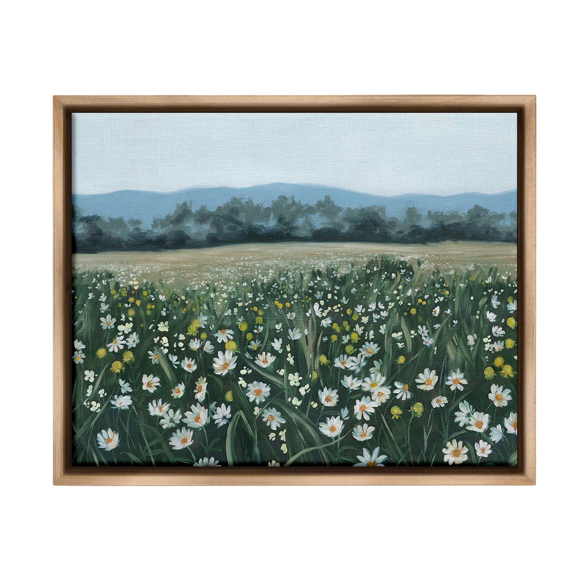 Stupell Industries Traditional Daisy Meadow Landscape Painting Brown Floater Framed Canvas Art Print Wall Art, 31 x 25