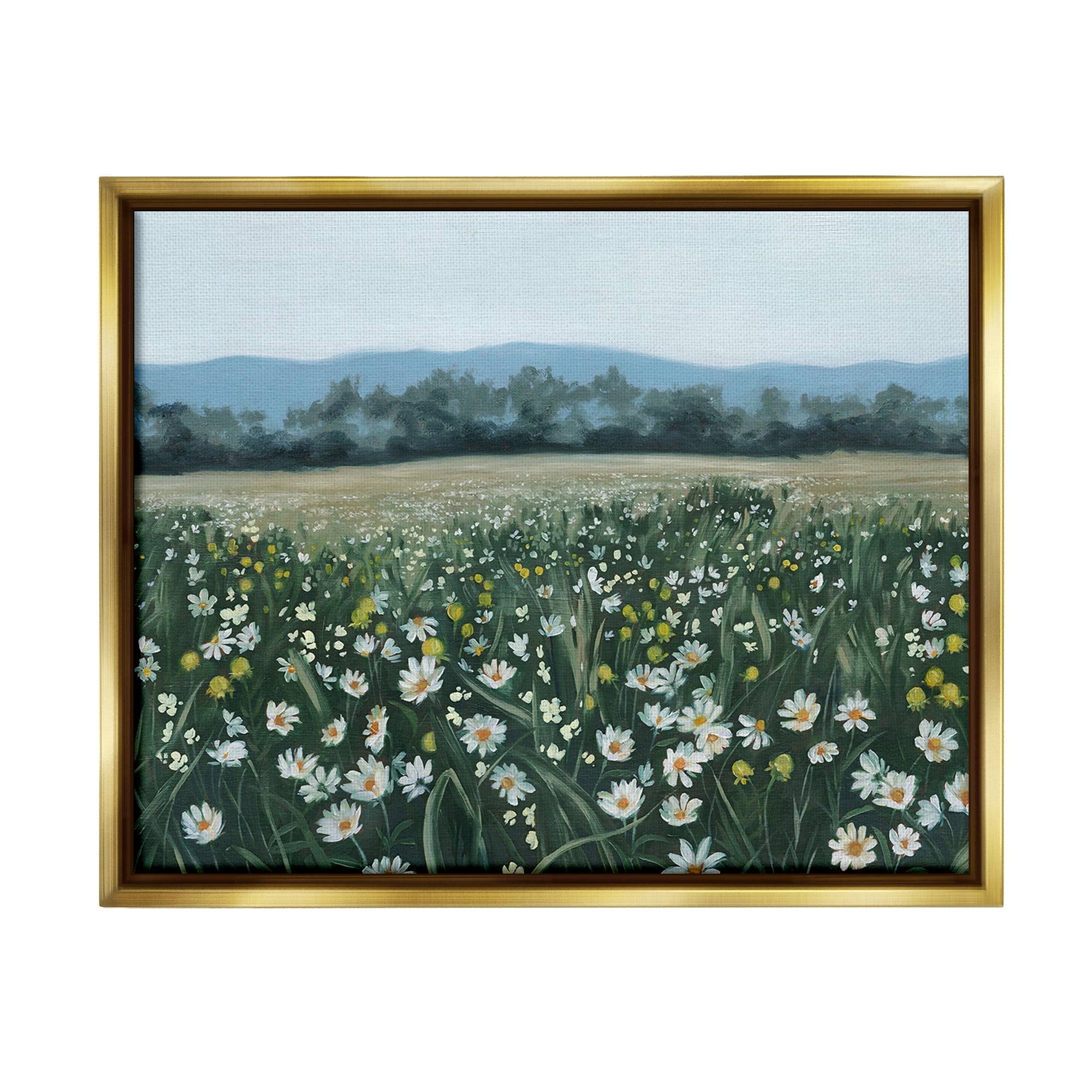 Stupell Industries Traditional Daisy Meadow Landscape Painting Gold Floater Framed Canvas Art Print Wall Art, 21 x 17