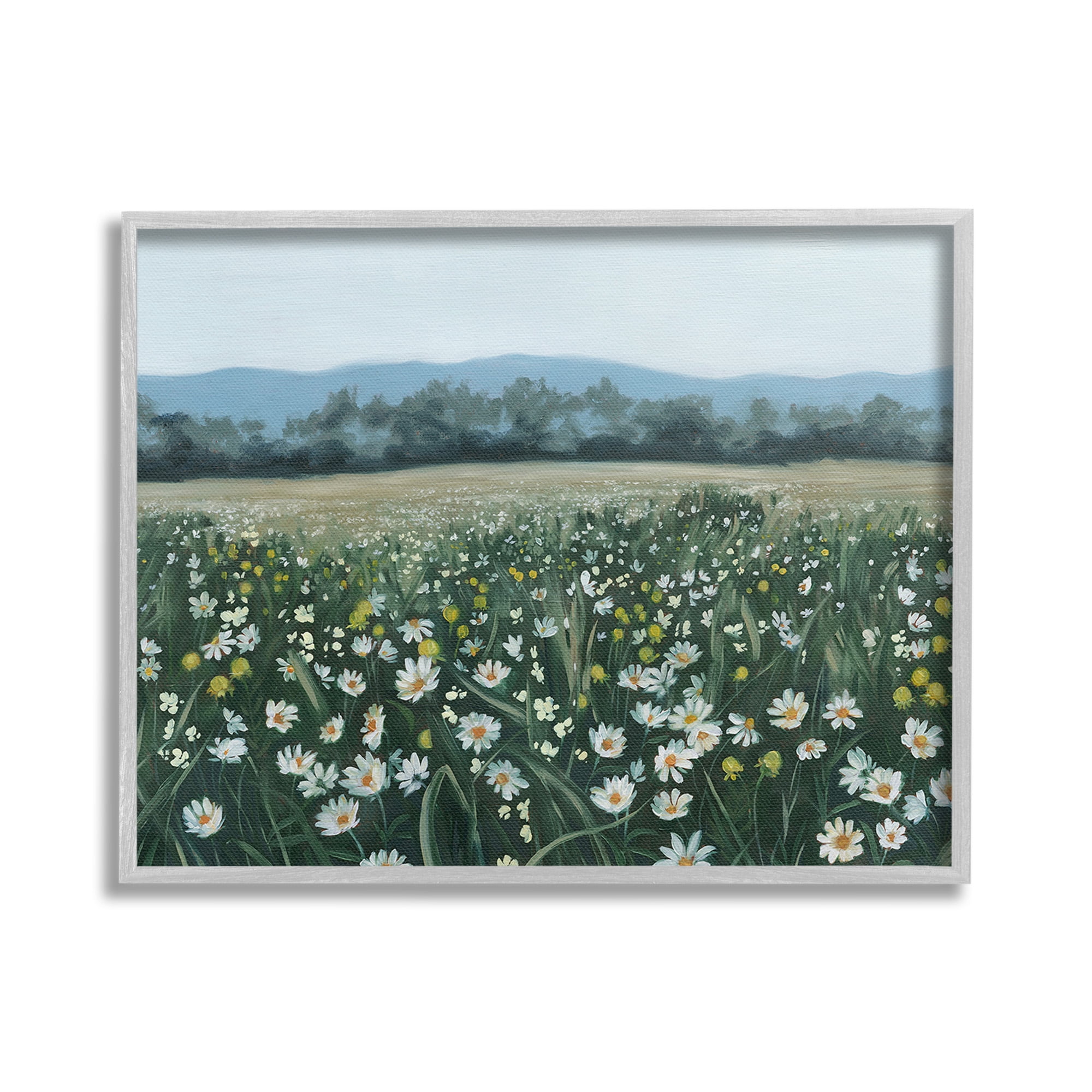 Stupell Industries Traditional Daisy Meadow Landscape Painting Gray Framed Art Print Wall Art, 30 x 24