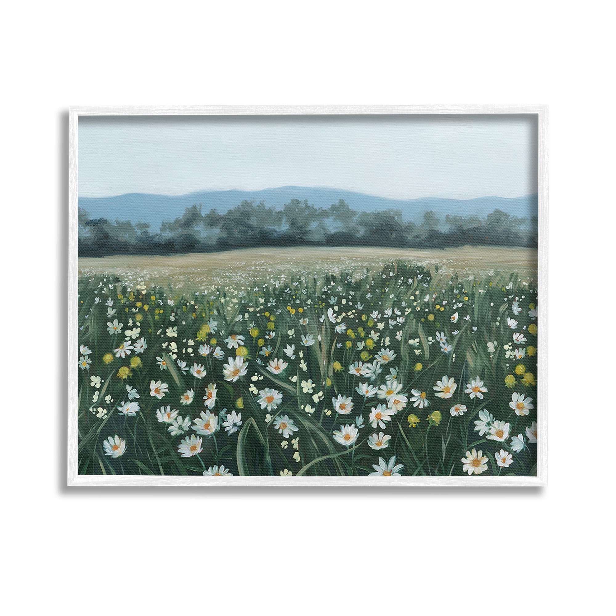 Stupell Industries Traditional Daisy Meadow Landscape Painting White Framed Art Print Wall Art, 14 x 11