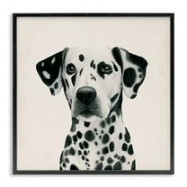 Stupell Industries Traditional Dalmatian Dog Portrait Spotted Pet Framed Wall Art Design by Grace Popp, 12" x 12", Black Framed