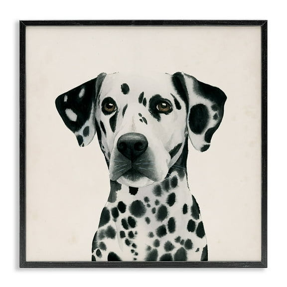 Stupell Industries Traditional Dalmatian Dog Portrait Spotted Pet Framed Wall Art Design by Grace Popp, 12" x 12", Black Framed