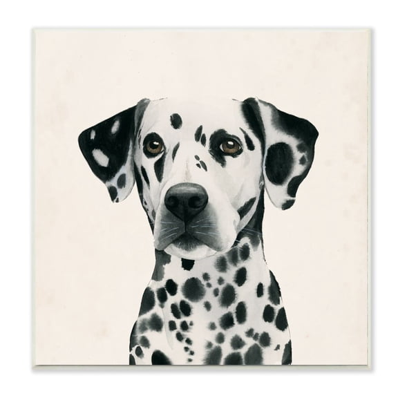 Stupell Industries Traditional Dalmatian Dog Portrait Spotted Pet Paintings Unframed Art Print Wall Art, 12x12, by Grace Popp