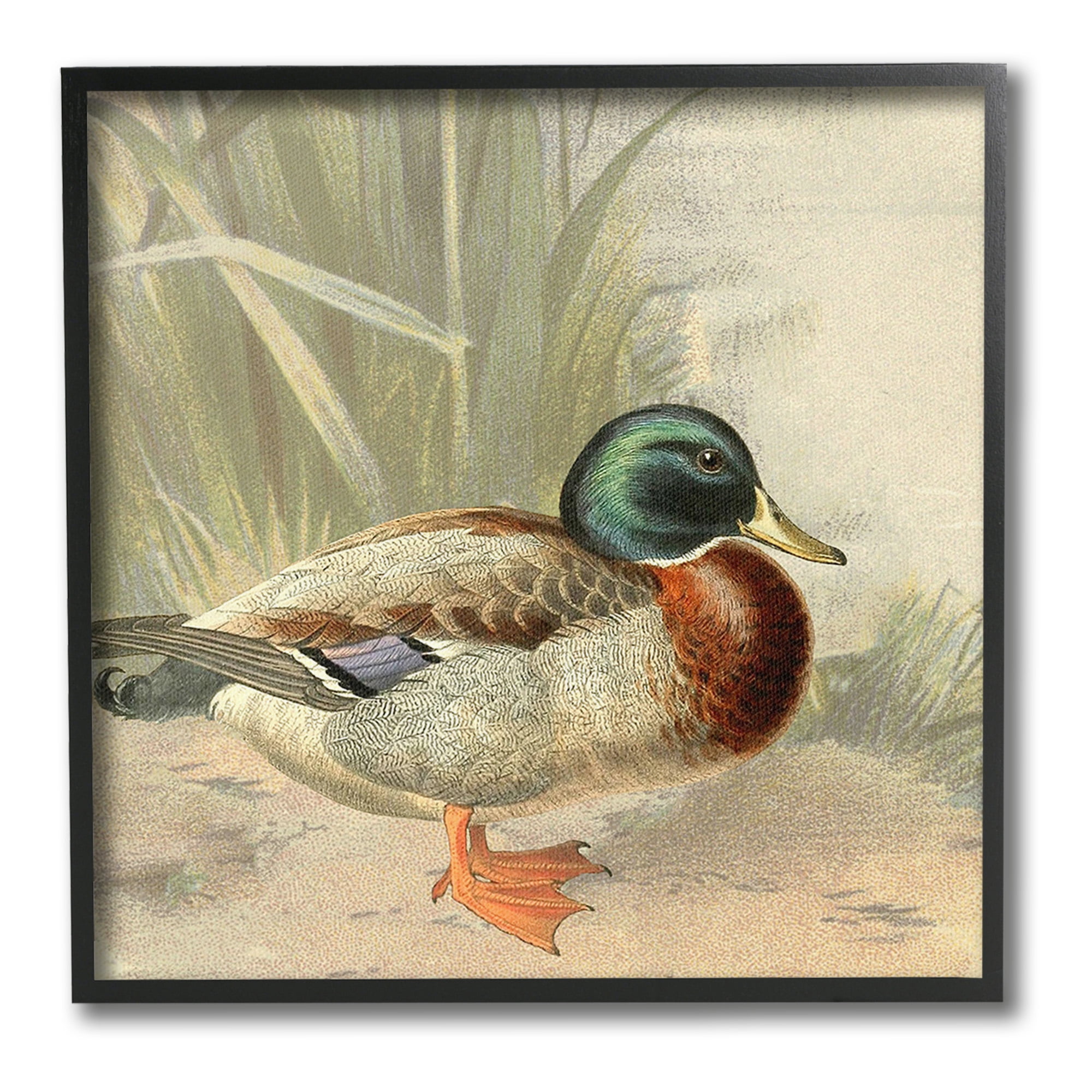 Stupell Industries Traditional Duck & Pond Animals & Insects Painting Black Framed Art Print Wall Art, 17 x 17