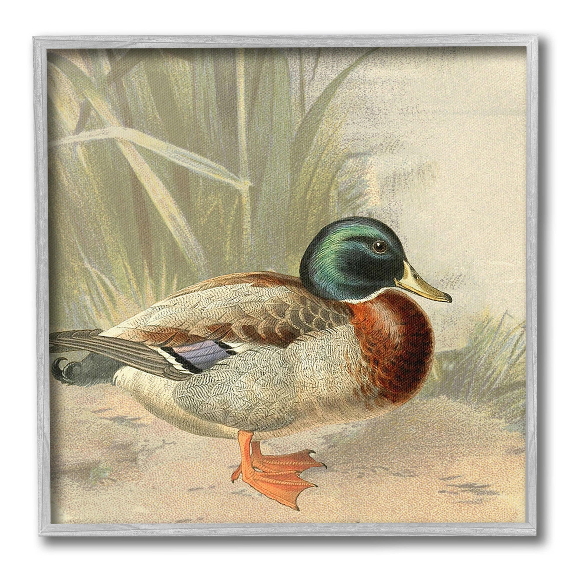 Stupell Industries Traditional Duck & Pond Animals & Insects Painting Gray Framed Art Print Wall Art, 12 x 12