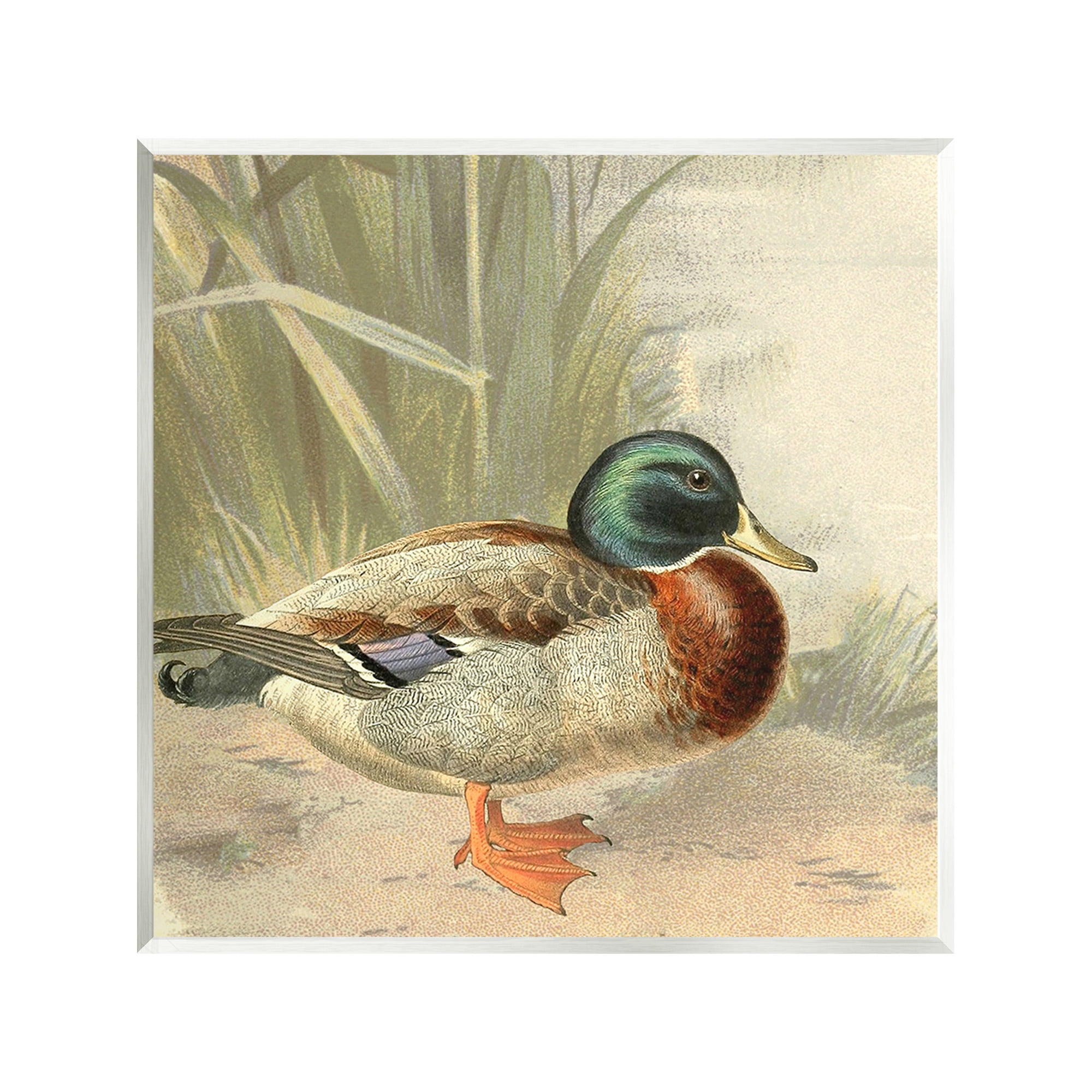 Stupell Industries Traditional Duck & Pond Animals & Insects Painting Unframed Art Print Wall Art, 12 x 12
