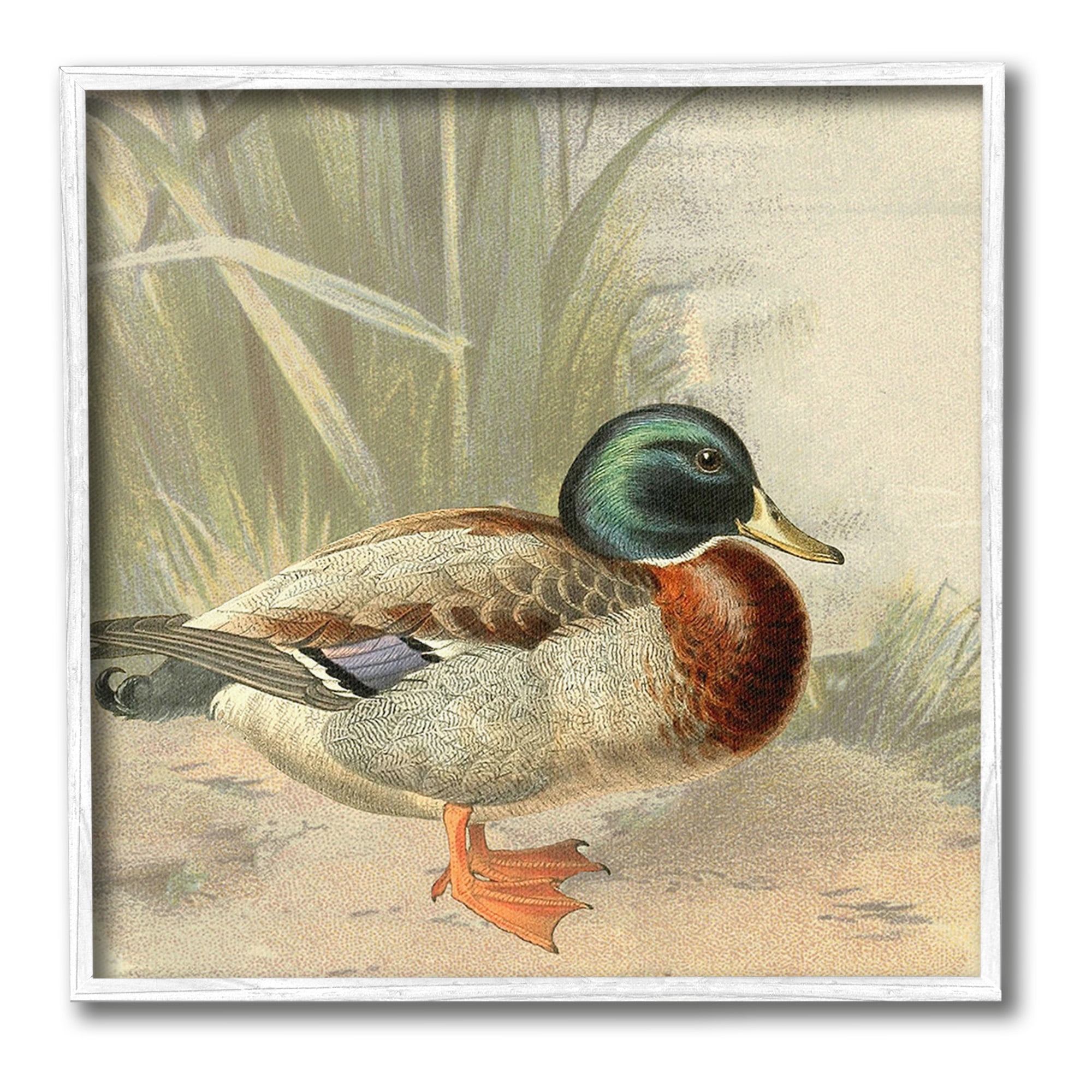 Stupell Industries Traditional Duck & Pond Animals & Insects Painting White Framed Art Print Wall Art, 24 x 24