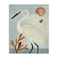 thumbnail image 1 of Stupell Industries Traditional Egret Aquatic Motif Animals & Insects Painting Gallery Wrapped Canvas Art Print Wall Art, 16 x 20, 1 of 8