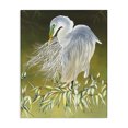 thumbnail image 1 of Stupell Industries Traditional Elegant Egret Bird Canvas Art, 24 x 30, by Christine Reichow, 1 of 8
