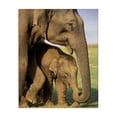 thumbnail image 1 of Stupell Industries Traditional Elephant Family Mother with Child Canvas Art, 16 x 20, by Gavriel Jecan / DanitaDelimont.com, 1 of 7
