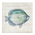 thumbnail image 1 of Stupell Industries Traditional Fish Impression Sea Life Canvas Art, 17 x 17, by Susan Arnot, 1 of 7