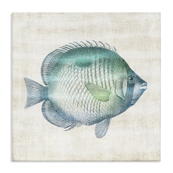 Stupell Industries Traditional Fish Impression Sea Life Canvas Art, 17 x 17, by Susan Arnot