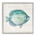 thumbnail image 1 of Stupell Industries Traditional Fish Impression Sea Life Gray Framed Giclee Art, 24 x 24, by Susan Arnot, 1 of 7