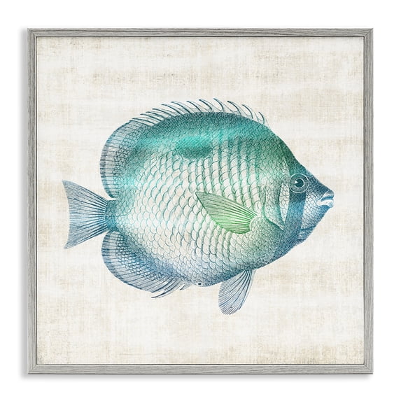 Stupell Industries Traditional Fish Impression Sea Life Gray Framed Giclee Art, 24 x 24, by Susan Arnot