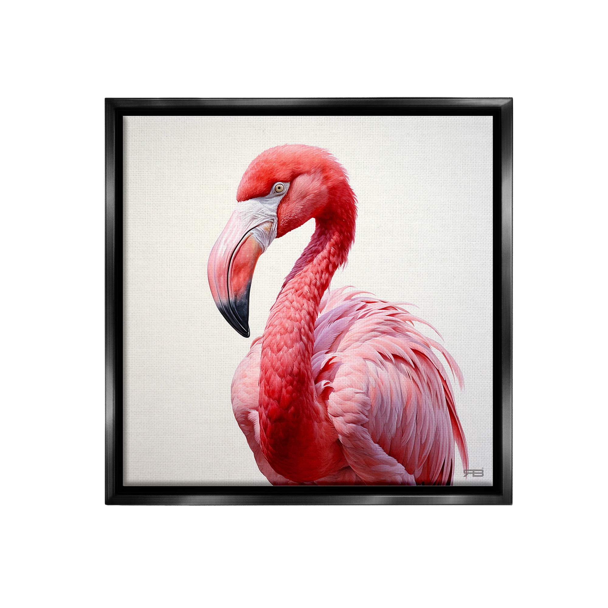 Stupell Industries Traditional Flamingo Portrait Animals & Insects Painting Black Floater Framed Canvas Art Print Wall Art, 25 x 25