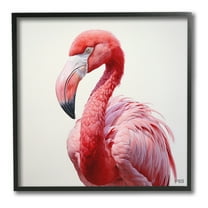 Stupell Industries Traditional Flamingo Portrait Animals & Insects Painting Black Framed Art Print Wall Art, 12 x 12