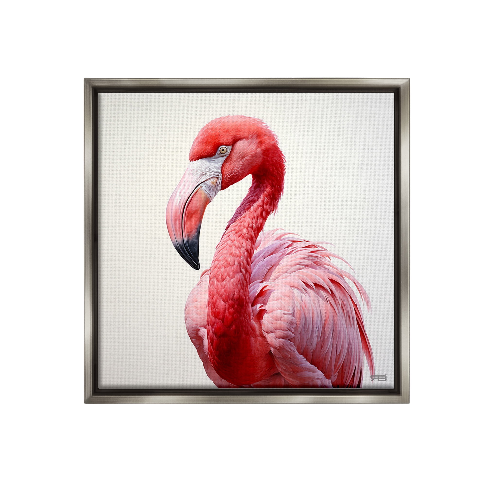 Stupell Industries Traditional Flamingo Portrait Animals & Insects Painting Gray Floater Framed Canvas Art Print Wall Art, 18 x 18